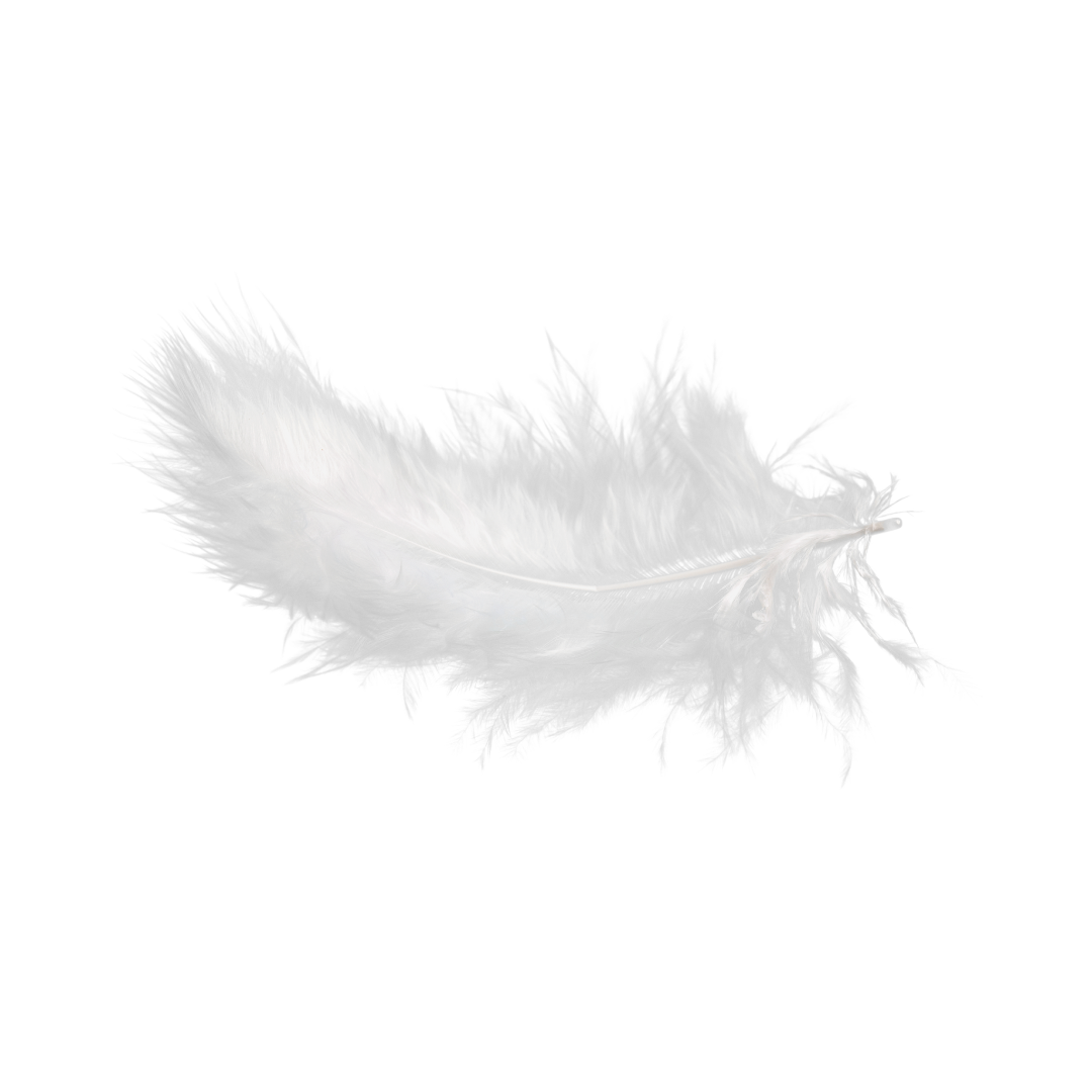 A soft white feather on a cream background